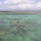グリーン島の澄みきった海