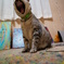 熱唱中♪♪♪