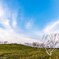 風の峠の朝に