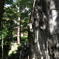 山寺４