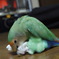 うりゃりゃりゃりゃりゃ！