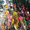 太宰府の七夕