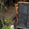 カフェ1