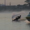 DSC_1752_20150607_044442