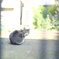 DSCF5364