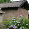 2015-06-27 14.06.52