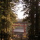 富士浅間神社
