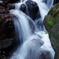 山からの恵み