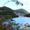 花より湖はここです・