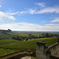 サン・テミリオン（Saint-Émilion）2