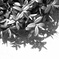 shadow