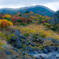 栗駒山　紅葉