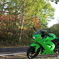 紅葉×Ninja250R