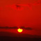 夕日