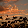 夕焼け雲