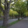 hokkaido.univer