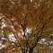 hokkaido.univer