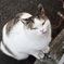 待つもん。。。
