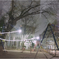 SDIM1533