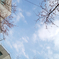 SDIM1734