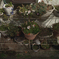 SDIM1662