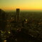 新宿夕景