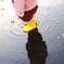 大きな大きな水たまり