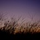 夕暮れ時
