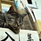 七つの大罪「怠惰」