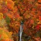 極彩色の滝