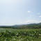 P6220324