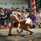 町内相撲大会