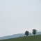 P6220333