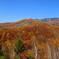 万座温泉の紅葉