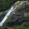 屋久島　大川の滝