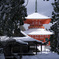 壇上伽藍　雪の根本大塔
