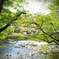 残暑が残る香嵐渓