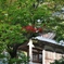 永平寺にて