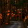 夕焼けの登山道