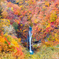 紅葉とまぼろしの滝..