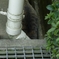何をしてるかと思ったら