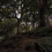 天園ハイキングコース　１