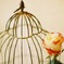 antique rose