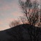 photo_4974390