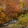 紅葉と渓流