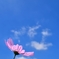 秋晴れ