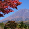 富士山1合目くらいのところです