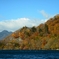 autumn colours