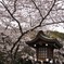 DSC_0020静岡護国神社