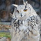 Asahiyama　ＺＯＯ